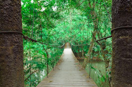 Narrow foot bridge