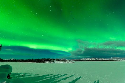 Spectacular display of intense Northern Lights or Aurora borealis or polar lights forming green swirls over frozen Lake Laberge Yukon Territory Canada winter landscape