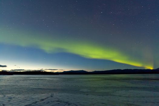 Intense Northern Lights or Aurora borealis or polar lights and morning dawn on night sky over icy landscape of frozen Lake Laberge, Yukon Territory, Canada