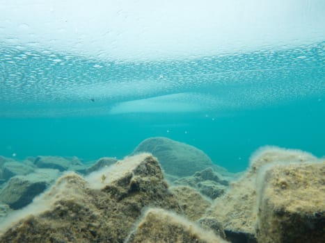 Underwater shot of frozen layer of ice on clear shallow water of lake with rocky bottom