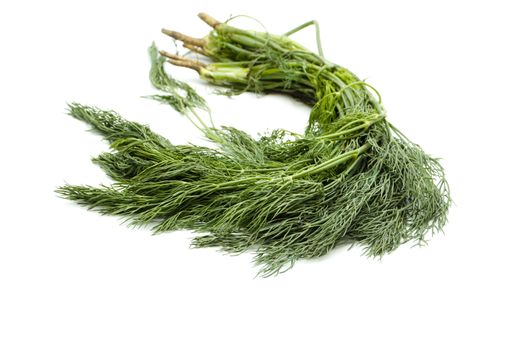 Fresh Green Dill on white background