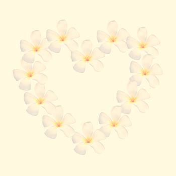 frangipani shape as heart isolated with retro filter effect