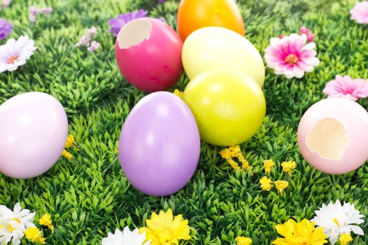 Some colorful Easter eggs on a blooming meadow
