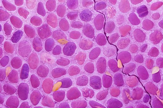 The decorative stone wall  with crack  ,  purple background texture