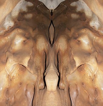 Abstract image of the monster from stone - digitally altered