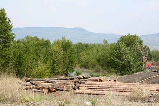 Logging operation in feeld with trees in background