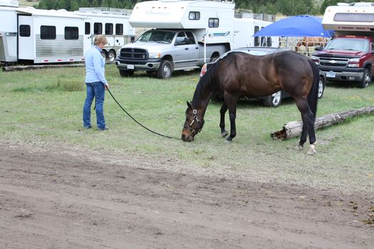 MERRITT; B.C. CANADA - MAY 15: Unidentified cowgirl allowing her horse to rest inbetween rounds at Nicola Valley Rodeo on May 15; 2011 in Merritt; British Columbia; Canada