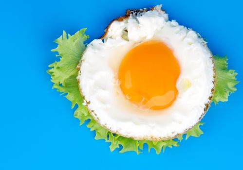 Fried Eggs Sunny Side Up with Lettuce on Blue background. Top View