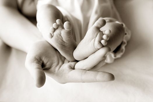 Parent hand hold baby girl legs