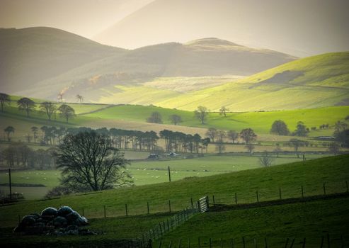 Low WInter Sun On Rural Hills In The Scottish Borders