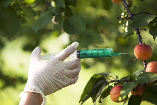 Pesticide injected in a fruit