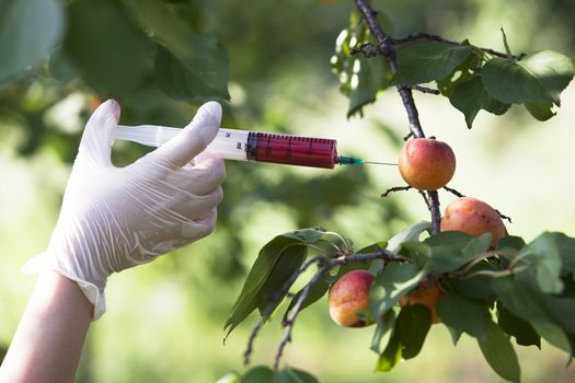 Pesticide injected in a fruit