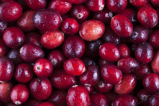 Fresh cranberries food background.