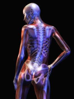 Digital Illustration of the human Anatomy