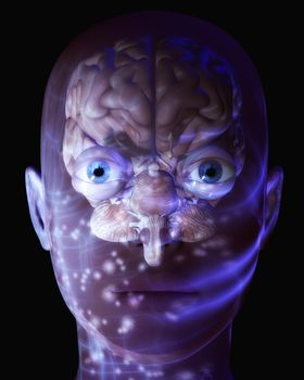 Digital Illustration of a human Brain