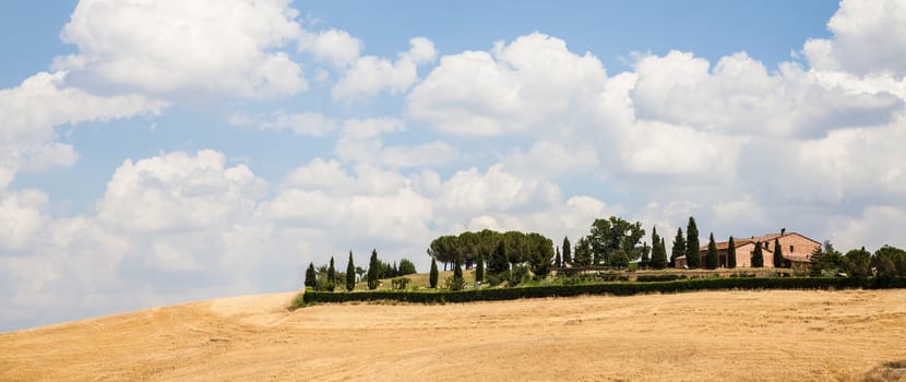 Summer season in Tuscan country, close to Siena