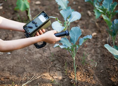 Measuring radiation levels of vegetables