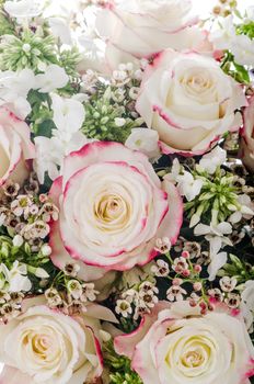 Bouquet of pink and white roses and chamelaucium