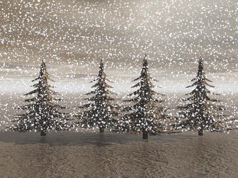 christmas and firetrees
