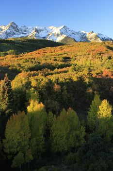 Dallas Divide, Uncompahgre National Forest, Colorado, USA