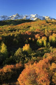 Dallas Divide, Uncompahgre National Forest, Colorado, USA