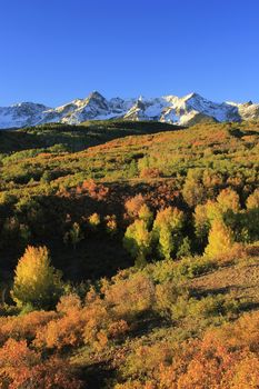 Dallas Divide, Uncompahgre National Forest, Colorado, USA