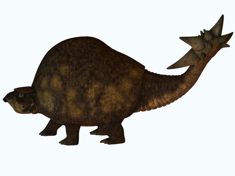 The Glyptodont lived during the Pleistocene Era and carried around a protective carapace like the present day turtle.Its tail may have been used to protect itself from predators or for mating rights.