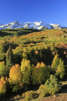 Dallas Divide, Uncompahgre National Forest, Colorado, USA