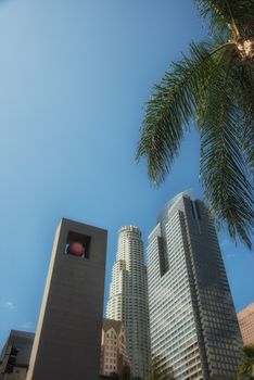 looking up at sky scraper, with palm tree
