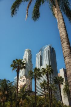 looking up at skyscrapers, with palm tree in corner