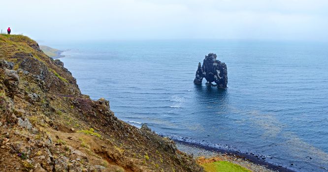 Hvitserkur is a spectacular rock in the sea on the Northern coast of Iceland. Panorama