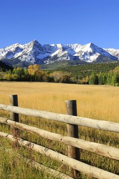 Dallas Divide, Uncompahgre National Forest, Colorado, USA