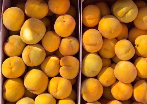 Calanda peaches rainfed from Teruel Spain in baskets at market