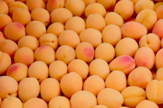 Image of background yellow ripe apricots