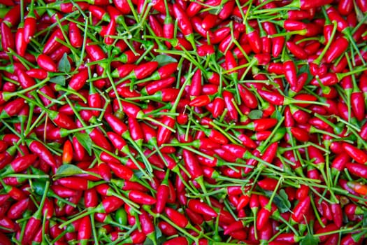 Little red chili peppers pattern texture background