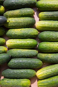 Cucumbers in a row at the market place outdoor in Mediterranean