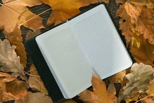 Close-up view on a blank notepad with autumn leaves