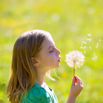 Blond kid girl blowing dandelion flower in green meadow outdoor profile view