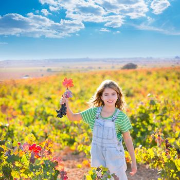 Kid girl in happy autumn vineyard field holding red leaf grapes bunch in hand