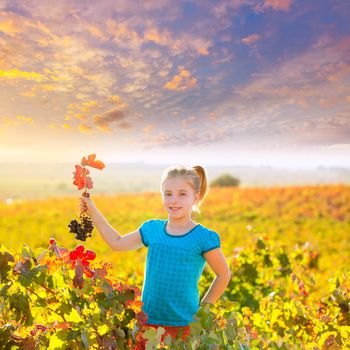 Blond Kid girl in happy autumn vineyard field holding red leaf grapes bunch in hand