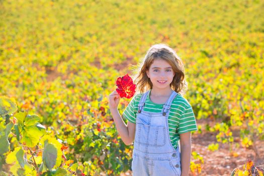 Kid girl in autumn vineyard field and holding red leaf in hand