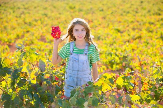 Kid girl in autumn vineyard field and holding red leaf in hand