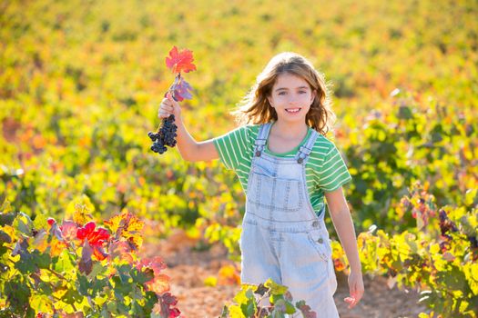 Kid girl in happy autumn vineyard field holding red leaf grapes bunch in hand