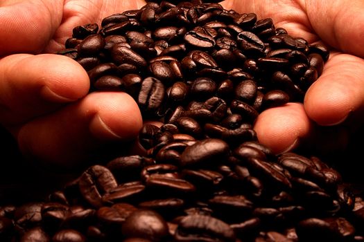 Handful Of Coffee Beans - close up