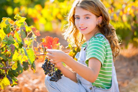 Kid girl happy smiling in autumn vineyard field holding grapes bunch on hand