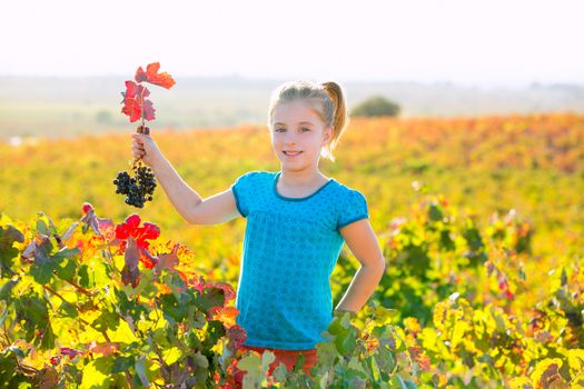 Blond Kid girl in happy autumn vineyard field holding red leaf grapes bunch in hand