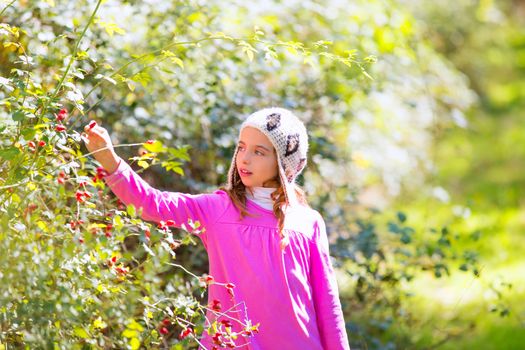 kid winter girl picking berries in the forest with wool cap