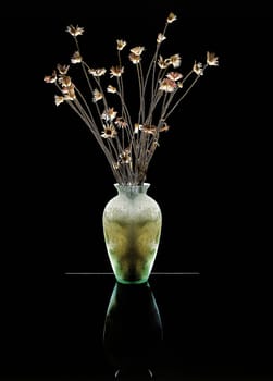 Vase with dry flowers in black surrounding