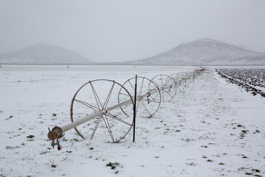 Cereal fields with irrigation wheels with snow in Nevada USA