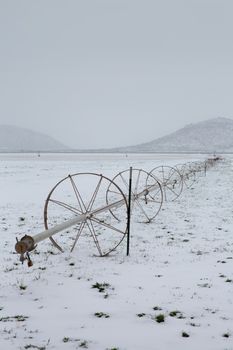 Cereal fields with irrigation wheels with snow in Nevada USA